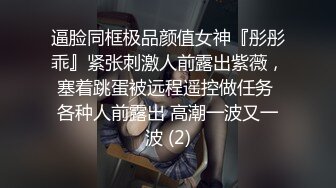 绣春刀3  淫娃战场