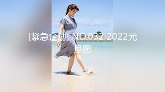 [紧急企划] NO.032 2022元旦图