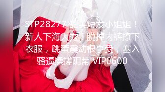 被金主爸爸包养的叛逆小萝莉✿抓紧双马尾后入翘臀蜜穴，青春少女曼妙的身姿让人流口水，软萌小妹妹被操的叫爸爸2