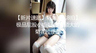 Al&mdash;刘诗诗 家政少妇