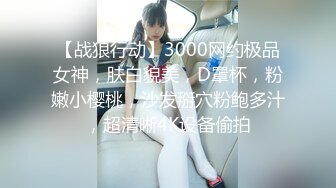 【战狼行动】3000网约极品女神，肤白貌美，D罩杯，粉嫩小樱桃，沙发掰穴粉鲍多汁，超清晰4K设备偷拍