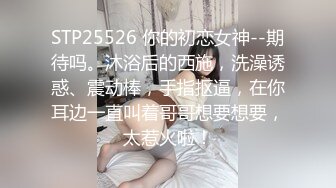 麻豆传媒MSD051 春药试用女郎推销客户忘情做爱 宋妮可