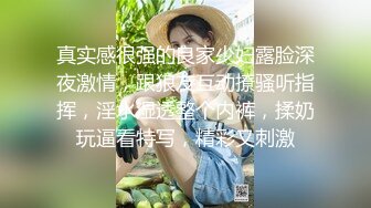 大像传媒之意外打開黑絲女主管的性慾開關-蘇雨彤