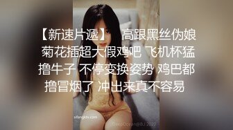 骚母狗撅着屁股被操叫爽