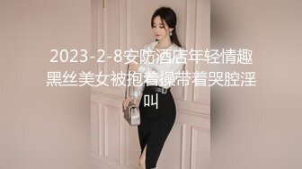 2023-2-8安防酒店年轻情趣黑丝美女被抱着操带着哭腔淫叫