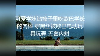 情趣玩具爱马士LELO-ISLA测评