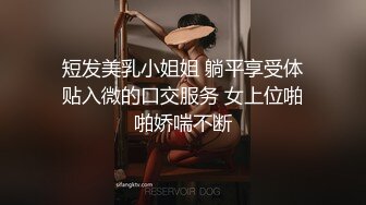 【淫乱人妻】绿帽淫荡母狗【腐猫儿】3P4P群P聚众淫乱④