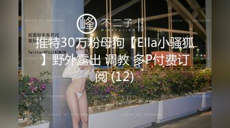 PANS女模萌萌宾馆私拍官方公开版及内部大尺度收费版1