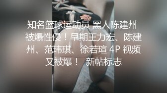 愛豆傳媒 IDG5409 同城約會 表姐淪為我的私人玩物 嘉儀