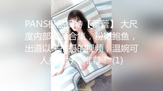 PANS极品模特【蕾蕾】 大尺度内部资源合集，粉嫩鲍鱼，出道以来拍摄的视频，温婉可人身材好，推荐！ (1)