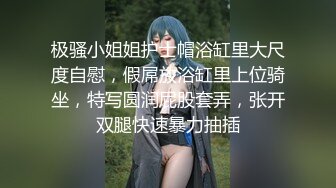 91茄子.淫荡家政与主人发生不伦关系-兰花