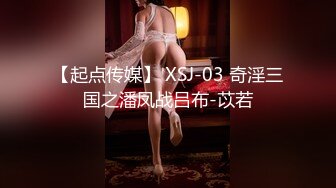 【新片速遞 】麻豆传媒 MD-0190-4《我是苏畅我回来了》阳光早晨的完美性爱