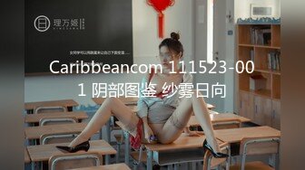 Caribbeancom 111523-001 阴部图鉴 纱雾日向