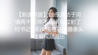 蜜桃影像傳媒 PMTC025 女頻道主街頭跳蛋實測 溫芮欣