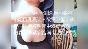 魅惑女仆