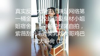 反差婊小学语文老师