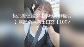 极品颜值骚货【小母狗很骚哦】露脸全裸露出口交【100v】 (3)