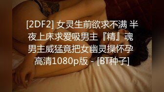 RAS0339 皇家华人 乳交泡泡SOAP 舔舐榨精快感MAX 艾悠 VIP0600