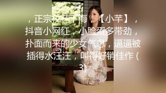 STP26240 ?户外跳蛋? 极品美女戴着跳蛋逛街 淫汁黏糊糊躲公厕里自慰 轻声细吟不敢出声 潮液都滴到美腿上了 VIP0600