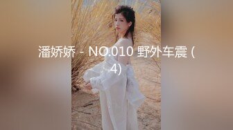 潘娇娇 - NO.010 野外车震 (4)