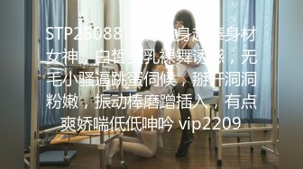  2024-03-11 MD-0311 麻豆傳媒 隱藏在婚紗下的約定-露露