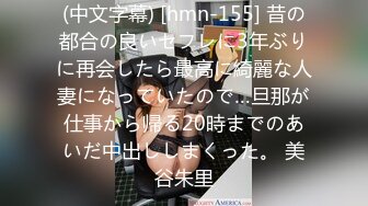 (中文字幕) [hmn-155] 昔の都合の良いセフレに3年ぶりに再会したら最高に綺麗な人妻になっていたので…旦那が仕事から帰る20時までのあいだ中出ししまくった。 美谷朱里