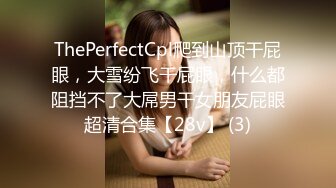 ThePerfectCpl爬到山顶干屁眼，大雪纷飞干屁眼，什么都阻挡不了大屌男干女朋友屁眼超清合集【28v】 (3)