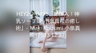 HEYZO-0491「即挿入！神乳ソープ嬢_小泉真希の癒し術」- Maki Koizumi 小泉真希 (2013.12.27)