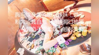 【新片速遞】 ✨极品少妇✨【按摩店迪丽热巴】少见的颜值爆表女神落凡尘，黑色性感低胸打飞机，还是一副高冷的模样！[235.75M/MP4/00:32:18]