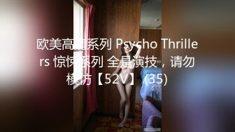 欧美高清系列 Psycho Thrillers 惊悚系列 全是演技，请勿模仿【52V】 (35)