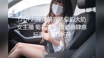 爆乳女仆性感挑逗自玩穴