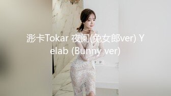 浵卡Tokar 夜阑(兔女郎ver) Yelab (Bunny ver)